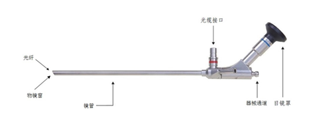 心臟內窺鏡