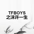 TFBOYS之沫許一生