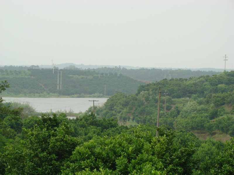 上余村(廣西村平市油麻鎮上余村)