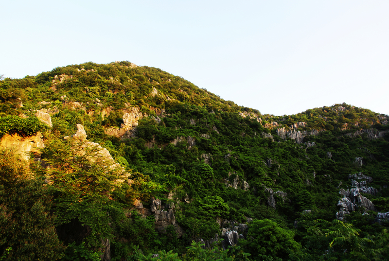 浙江三衢國家森林公園