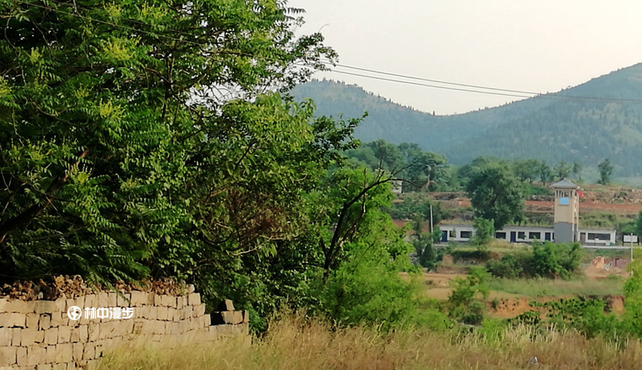 馬家莊村(山東省膠州市營海鎮馬家莊村)