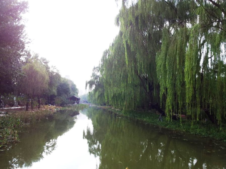 太平湖(北京市海淀區太平湖)