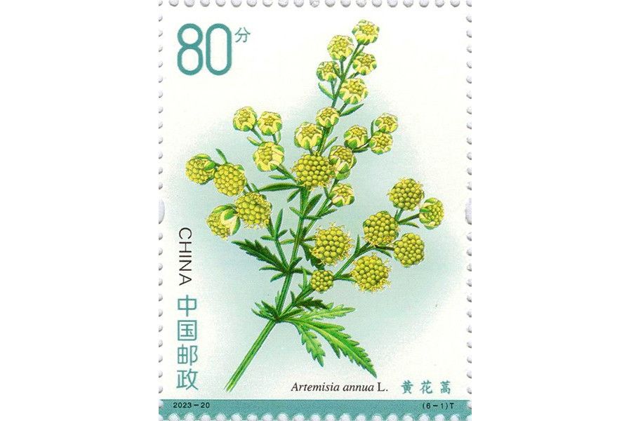 藥用植物（三）