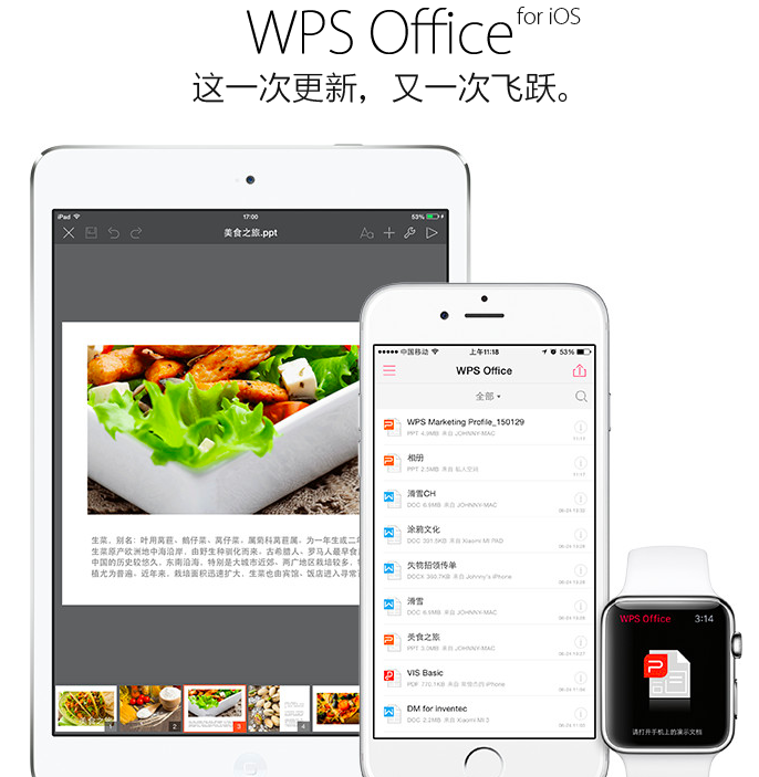 WPS OFFICE(金山WPS)