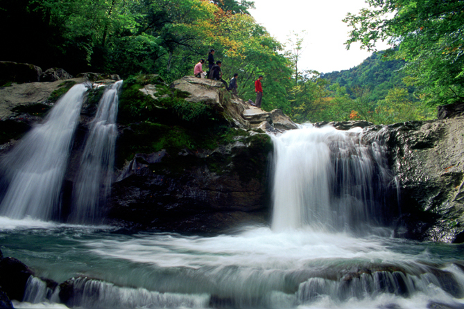 千層河