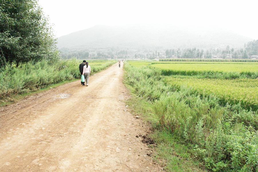 萬民愛村-進村道路