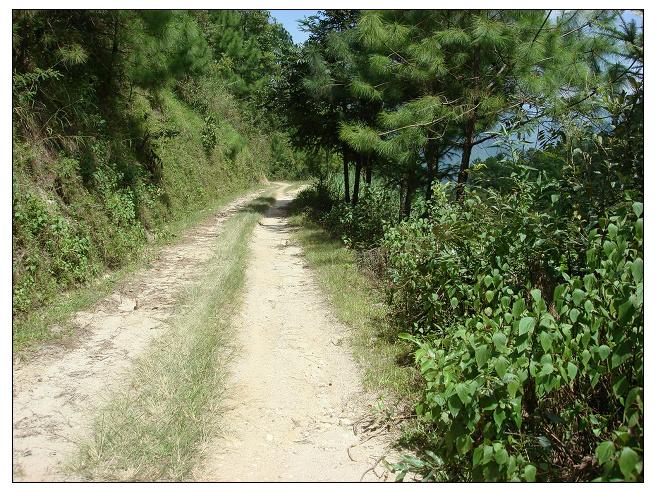 上寨田自然村通村道路