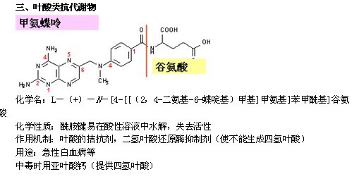 代謝拮抗物