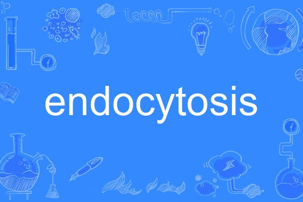 endocytosis