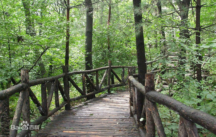 湖南夾山國家森林公園