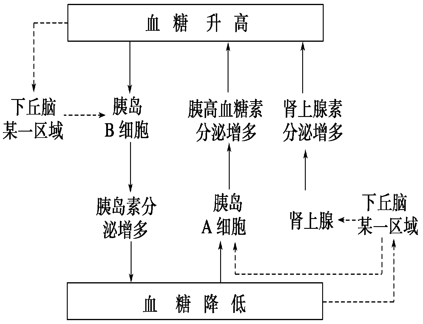 血糖調節