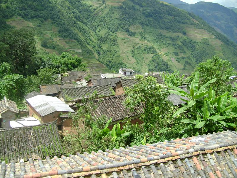 貴龍村(雲南省紅河州綠春縣牛孔鄉下轄村)