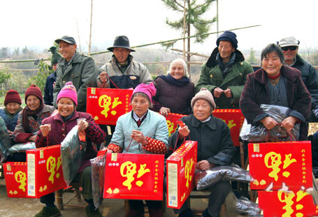 鎮橋鎮