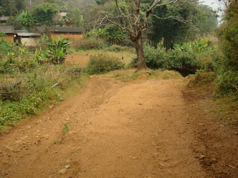 進村道路