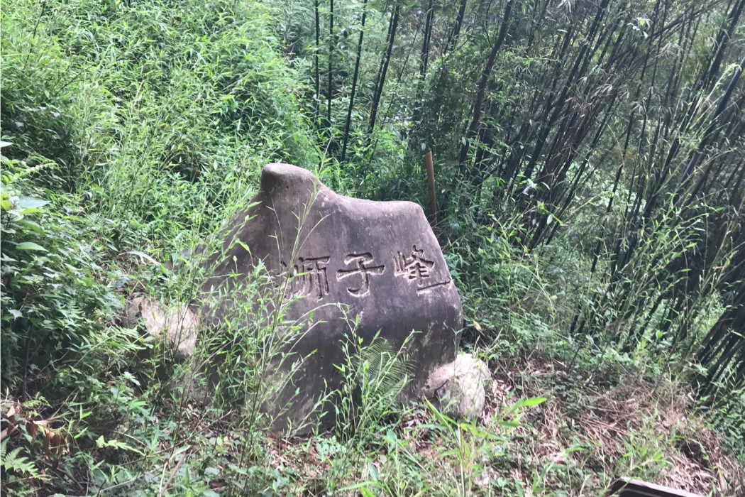 獅子峰(自貢市富順縣李橋鎮五條溝境內景點)