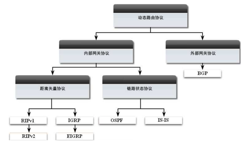 距離向量路由選擇協定