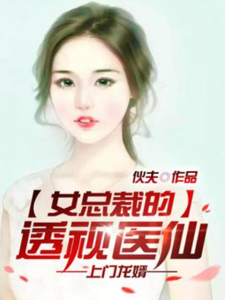 女總裁的上門龍婿(伙夫所著小說)