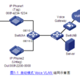 Voice VLAN