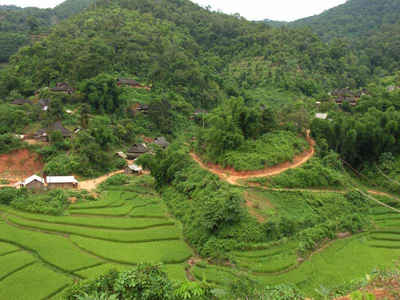 回麻河村