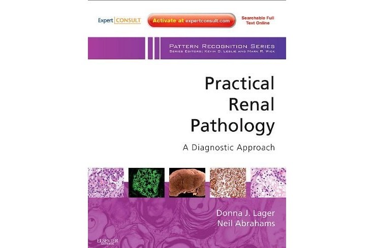 Practical Renal Pathology, a Diagnostic Approach(Lager, Donna J.,Abrahams, Neil 所著圖書)