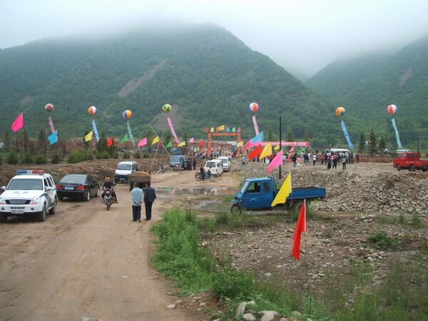 嶺東村(遼寧莊河市桂雲花鄉下轄村)