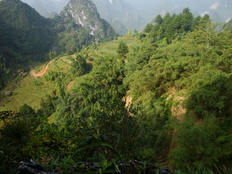 停雷屯