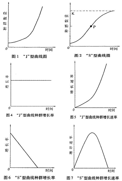 穩定型種群