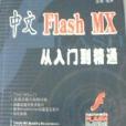 中文flashmx從入門到精通