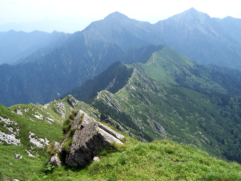 保護區風景