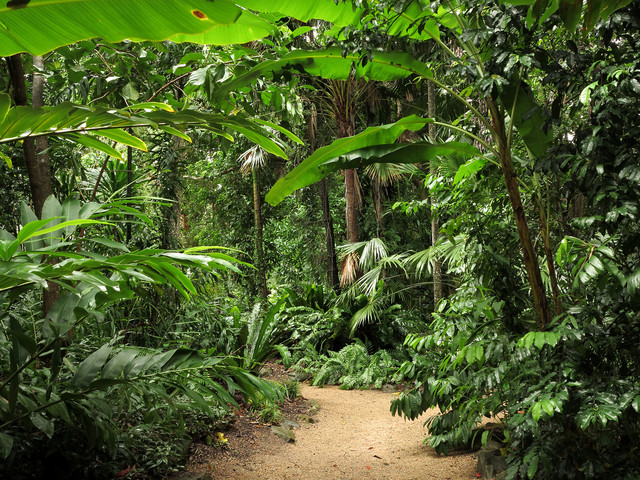 恆春熱帶森林植物園