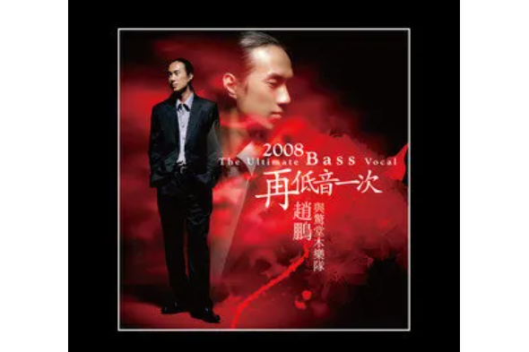 山茶花(趙鵬《2008再低一次》專輯中的歌曲)