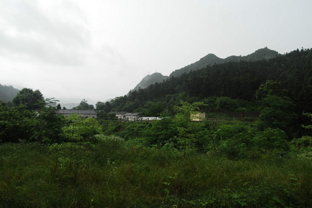 金家山村(浙江省衢州市衢江區金家山村)