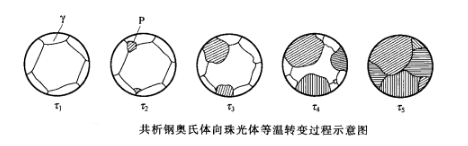 共析鋼奧氏體向珠光體等溫轉變過程示意圖