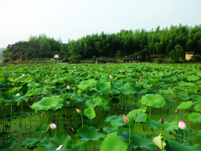 營上村