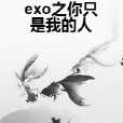 exo之你只是我的人