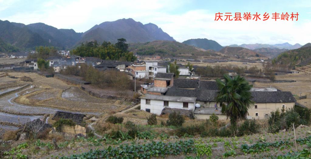 豐嶺村(雲南省曲靖市師宗縣丹鳳鎮下轄村)