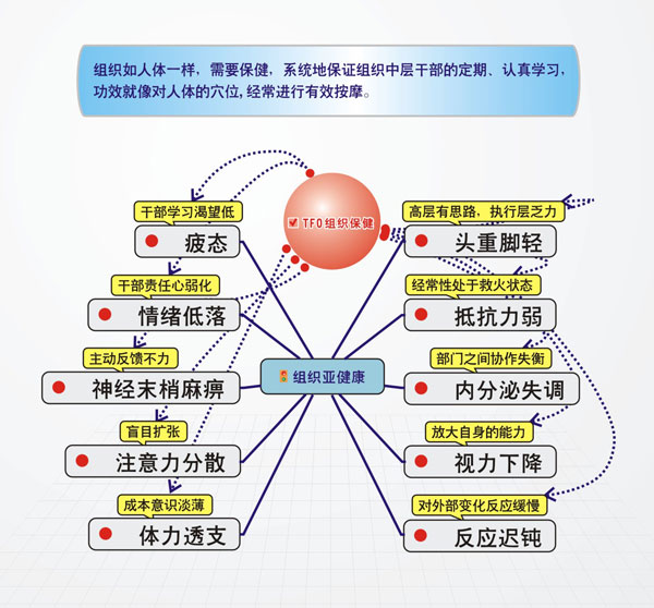 TFO組織保健系統