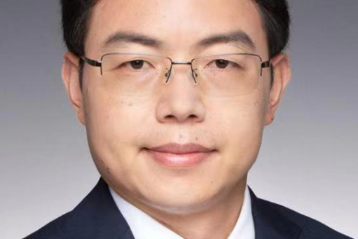 張曉平(武漢大學土木建築工程學院教授)