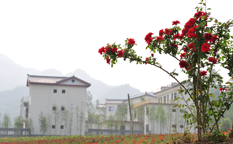 新庄子村(雲南宜良縣南羊鎮下轄村)