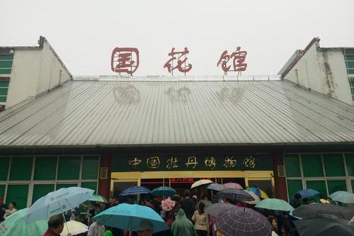 中國牡丹博物館(山東省境內博物館)