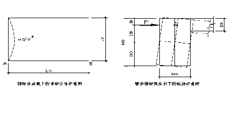 β係數