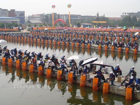 釣魚大賽(網路遊戲)