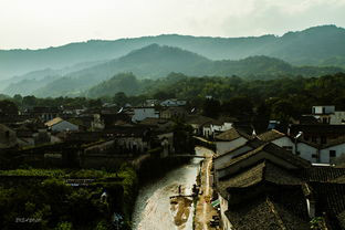 十里村