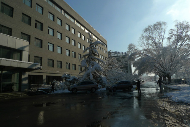 園區雪景