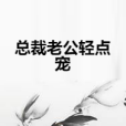 總裁老公輕點寵(洛酒歌著網路小說)