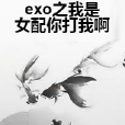 exo之我是女配你打我啊