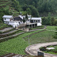 雙洞村(貴州省六盤水市鐘山區月照鄉下轄村)