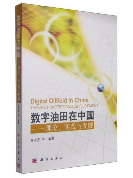 數字油田在中國 : 理論、實踐與發展