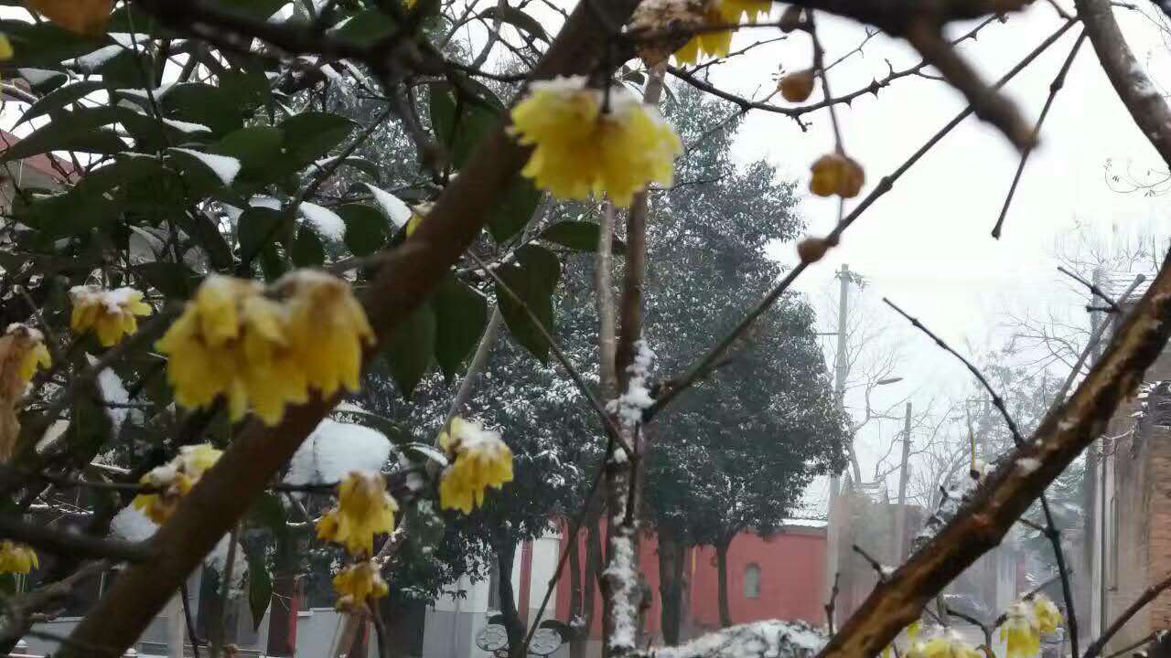 西安市慈雲寺