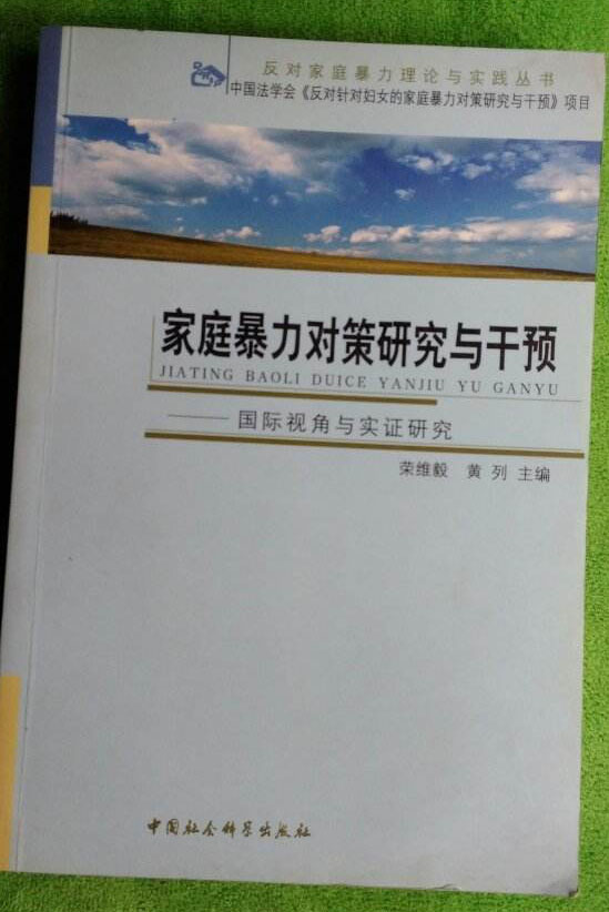 家庭暴力對策研究與干預：國際視角與實證研究